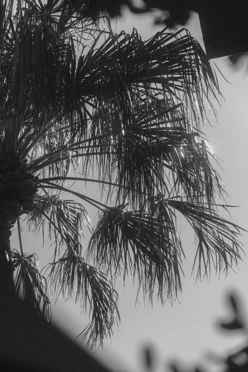 Why Do We Judge Dating Matches by Looks, and How to See Everyone's Natural Attractiveness